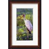 David Stribbling - Yellow Billed Stork (R1091852-AEAEAGPFG8)