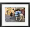 Ryan Rossotto/Stocktrek Images - Mule Carrying Water, Through the Medina in Fes, Morocco, Africa (R1092718-AEAEAGOFDM)