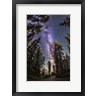 Alan Dyer/Stocktrek Images - The Summer Milky Way With Through Pine Trees (R1092833-AEAEAGOFDM)
