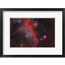 Reinhold Wittich/Stocktrek Images - Seagull Nebula, Ic 2177 (R1092934-AEAEAGOFDM)