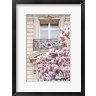 Carina Okula - Spring Magnolias in Paris (R1093036-AEAEAGOFDM)