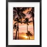 David Fleetham/Stocktrek Images - Palm Trees At Sunset Of Maui, Hawaii (R1093133-AEAEAGOFDM)