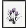 Albert Koetsier - Three Purple Tulips (R1093793-AEAEAGOFDM)