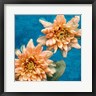 Ann Bailey - Orange Chrysanthemums (R1094408-AEAEAGOFDM)