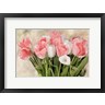 Kimberly Allen - Pink And White Tulips (R1095129-AEAEAGOFDM)