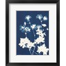 Kathy Ferguson - Alpine Flower V (R1095916-AEAEAGOFDM)