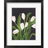 Pamela Munger - White Tulips on Black (1) (R1095988-AEAEAGOFDM)