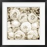 Kimberly Allen - Dried Roses (R1096358-AEAEAGOFDM)