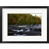 Andy Crawford Photography - Autumn on the Tellico River (R1097006-AEAEAGOFDM)