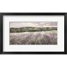 Lori Deiter - Ridge Farm Lavender (R1099966-AEAEAGOFDM)