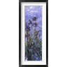 Claude Monet - Irises (R110217-AEAEAGOFDM)