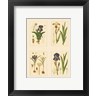 Strum flora - Miniature Botanicals I (R139839-AEAEAGOFDM)