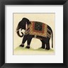 Illuminations - Elephant from India II (R141786-AEAEAGOELM)