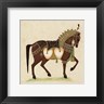 Illuminations - Horse from India II (R141788-AEAEAGOELM)
