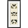 Jablonsk - Antique Butterfly Panel II (R200047-AEAEAGOFLM)