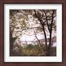 John Folchi - Lakeside Trees I (R31423-AEAEAGLFOM)
