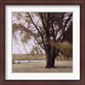 John Folchi - Lakeside Trees II (R31424-AEAEAGLFOM)