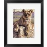 Kalon Baughan - Serengeti Lioness (R31957-AEAEAGOFLM)