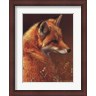 Joni Johnson-Godsy - Curious Red Fox (R597442-AEAEAGLFOM)