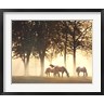 Monte Nagler - Horses in the Mist (R657519-AEAEAGOFDM)