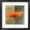 Patty Q - Orange Poppies VI (R675283-AEAEAGOELM)