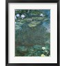 Claude Monet - Water-Lilies (R681120-AEAEAGOFLM)