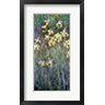 Claude Monet - The Yellow Irises (R681617-AEAEAGOFLM)