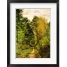 Claude Monet - Wooded Path, 1865 (R681624-AEAEAGOFLM)