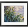 Claude Monet - The Yellow Iris (R681654-AEAEAGOFLM)