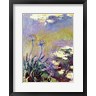 Claude Monet - The Agapanthus, 1914-17 (R681655-AEAEAGOFLM)