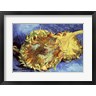 Vincent Van Gogh - Sunflowers, 1887 (R682389-AEAEAGOFLM)