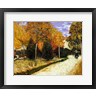 Vincent Van Gogh - Path in the Park at Arles, 1888 (R682403-AEAEAGOFLM)