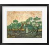 Vincent Van Gogh - The Olive Pickers (R682614-AEAEAGOFLM)