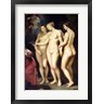 Peter Paul Rubens - The Medici Cycle: Education of Marie de Medici, detail of the Three Graces (R683450-AEAEAGOFLM)