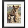 Kalon Baughan - Serengeti Lioness (R686392-AEAEAGOFLM)
