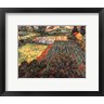 Vincent Van Gogh - Field of Poppies, Saint-Remy, c. 1889 (R687040-AEAEAGOFLM)
