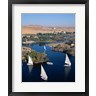 Feluccas on the Nile River, Aswan, Egypt (R692050-AEAEAGOFLM)