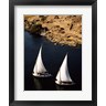 Two sailboats, Nile River, Egypt (R692109-AEAEAGOFLM)