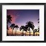 Silhouette of palm trees on the beach, Waikiki Beach, Honolulu, Oahu, Hawaii, USA (R693405-AEAEAGOFLM)