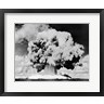 Atomic bomb explosion, Bikini Atoll, Marshall Islands, July 24, 1946 (R693633-AEAEAGOFLM)