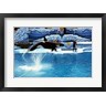 Shamu-Killer Whale Sea World San Diego California USA (R693954-AEAEAGOFLM)