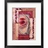 Rita Broughton - Red Tulip Collage I (R703146-AEAEAGOFLM)