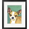 Jill Sands - Dog Portrait-Chihuahua (R703278-AEAEAGOFDM)
