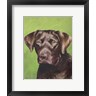 Jill Sands - Dog Portrait-Chocolate (R703279-AEAEAGOFDM)