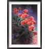 Li Bo - Vibrant Poppies (R708307-AEAEAGOFLM)