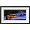 Julie Chapman - Bathing Beauty (R710945-AEAEAGOFLM)