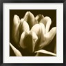 Renee Stramel - Sepia Tulip I (R713934-AEAEAGOFLM)