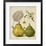 Heinrich Pfeiffer - Harvest Pears I (R714096-AEAEAGOFLM)