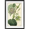M. Hart - Antique Passionflower I (R715662-AEAEAGOFLM)