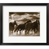 Monte Nagler - Running Horses & Sunbeams (R722142-AEAEAGOFDM)